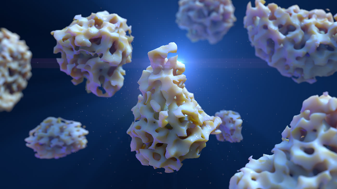 Bone graft particulate